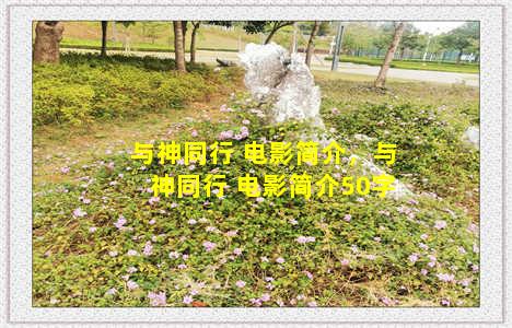 与神同行 电影简介，与神同行 电影简介50字